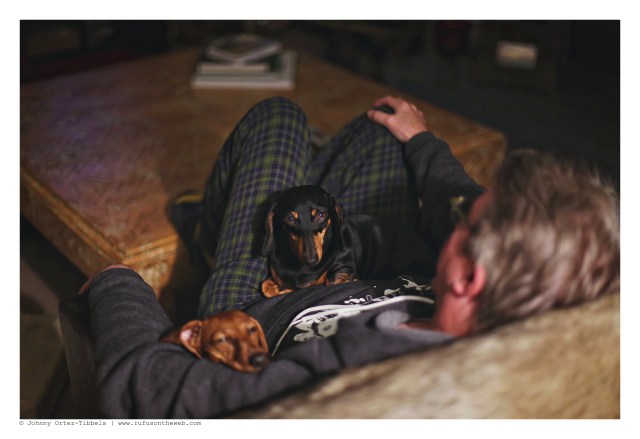 Emily | 2015. Photo by: Johnny Ortez-Tibbels ©