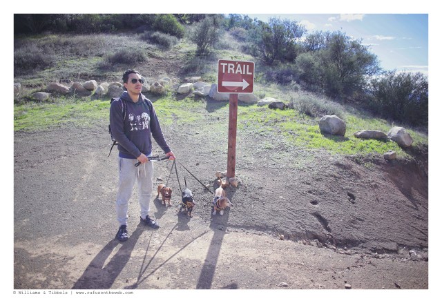 Rufus, Emily, Lily & their human | February 2016. Photo by: Williams & Tibbels © 