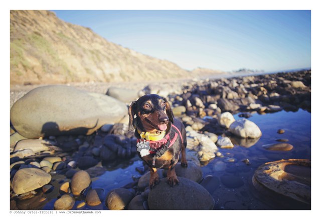 Emily | February 2016. Photo by: Johnny Ortez-Tibbels ©