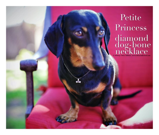 Petite Princess diamond dog-bone necklace | February 2016. Photo by: Johnny Ortez-Tibbels © 