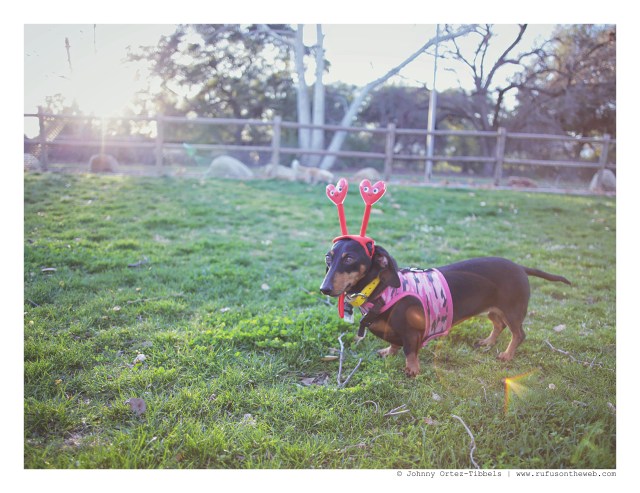 Emily | February 2016. Photo by: Johnny Ortez-Tibbels © 