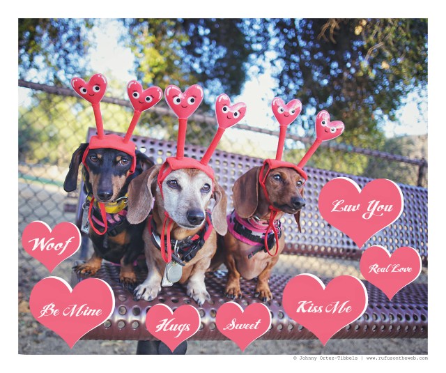 Emily, Rufus & Lily | February 2016. Photo by: Johnny Ortez-Tibbels © 