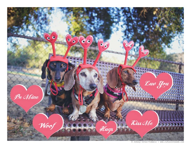 Emily, Rufus & Lily | February 2016. Photo by: Johnny Ortez-Tibbels © 
