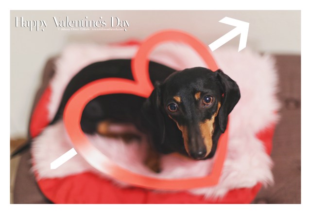 Emily | February 2016. Photo by: Johnny Ortez-Tibbels © 