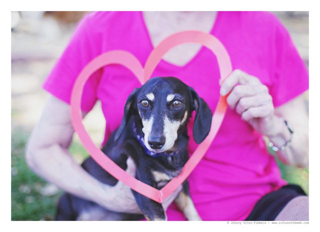 Nicky | February 2016. Photo by: Johnny Ortez-Tibbels © 