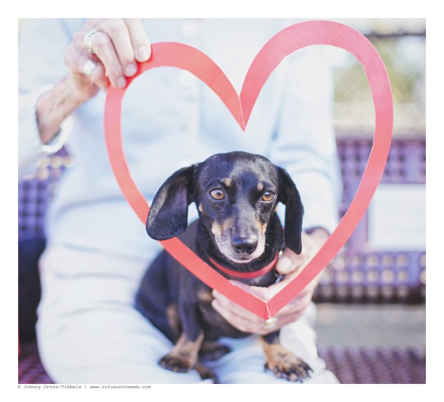 Chloe | February 2016. Photo by: Johnny Ortez-Tibbels © 