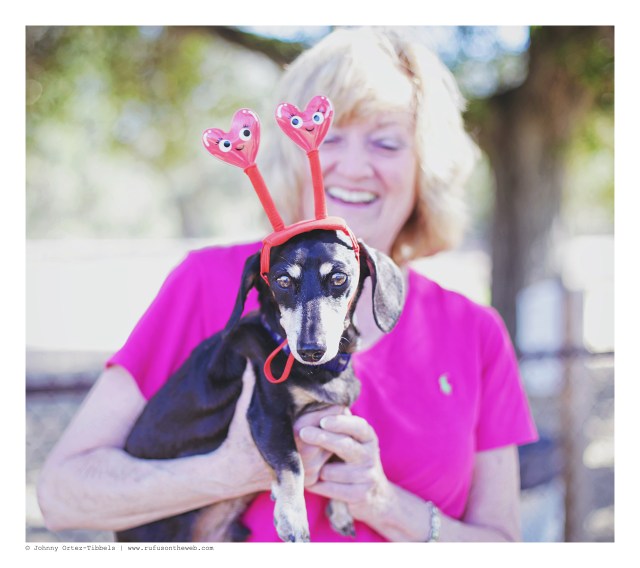 Nicky | February 2016. Photo by: Johnny Ortez-Tibbels © 