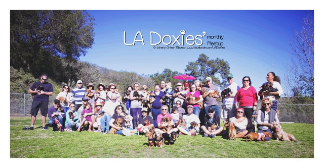LA Doxies' Monthly Meetup Group | February 2016. Photo by: Johnny Ortez-Tibbels ©