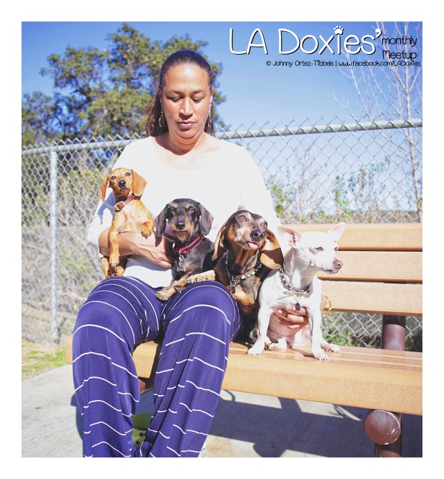 LA Doxies' Monthly Meetup Group | February 2016. Photo by: Johnny Ortez-Tibbels ©