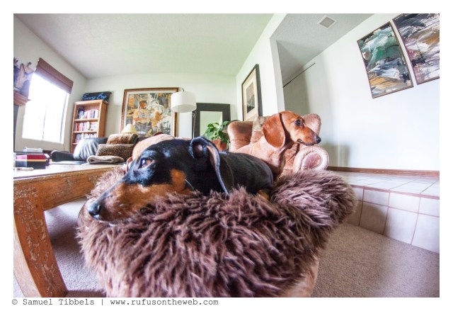 Emily & Lily | March 2016. Photo by: Samuel Tibbels © 