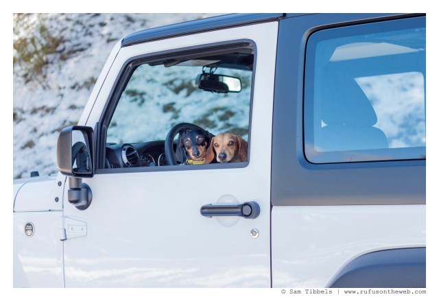 Emily & Milo | March 2016. Photo by: Sam Tibbels © 