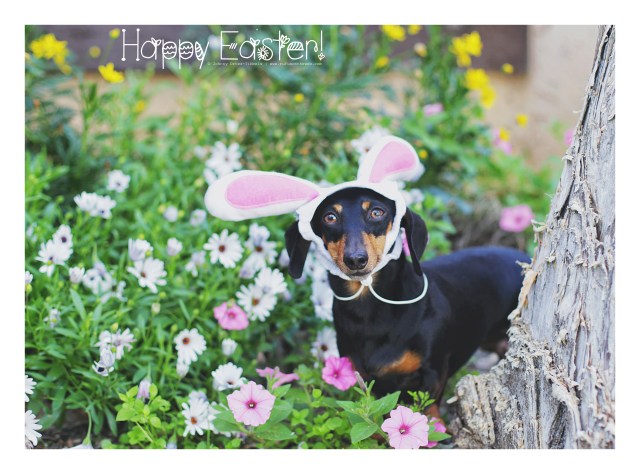 Emily Sue | March 2016. Photo by: Johnny Ortez-Tibbels © 