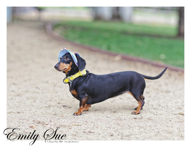 Emily Sue | May 2016. Photo by: Johnny Ortez-Tibbels ©