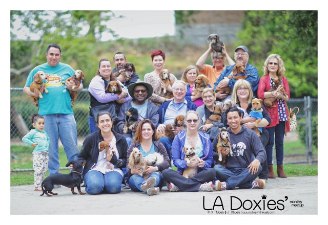 LA Doxies' Monthly Meetup | May 2016. Photo by: Johnny Ortez-Tibbels ©