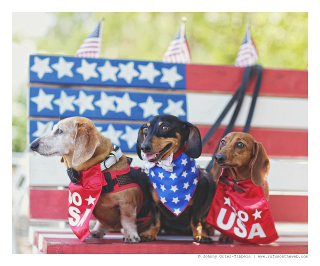 Rufus, Emily & Lily | July 2016. Photo by: Johnny Ortez-Tibbels ©