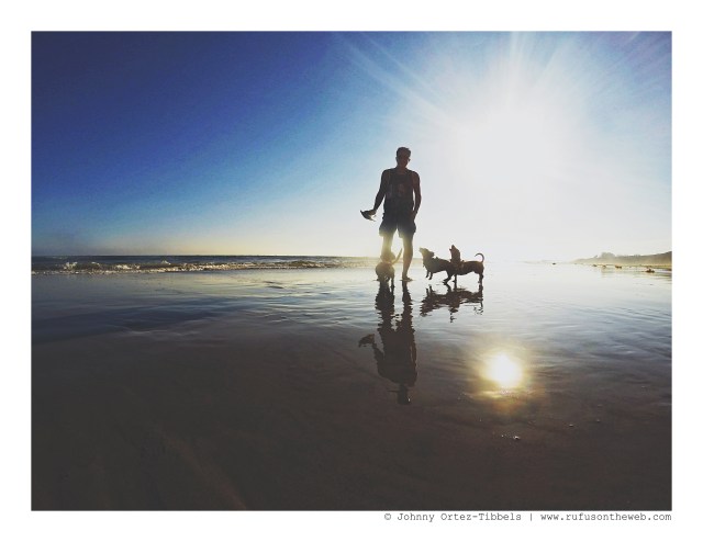 Dachshund Days of Summer | August 2016. Photo by: Johnny Ortez-Tibbels ©
