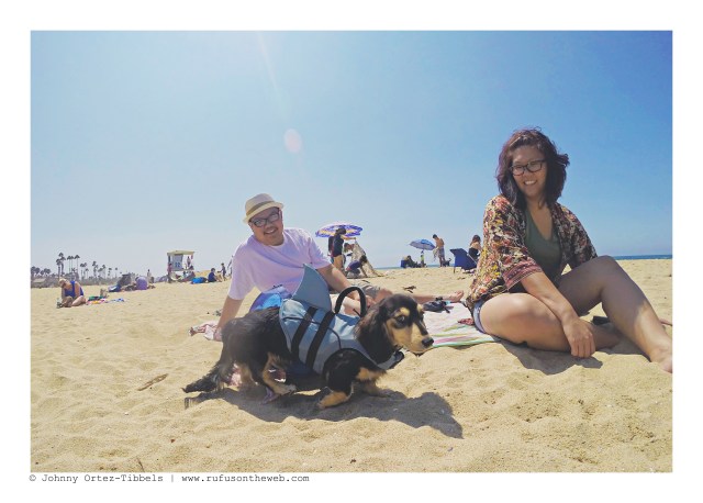 LA Doxies' Meetup | August 2016.  Photo by: Johnny Ortez-Tibbels ©