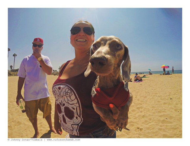 LA Doxies' Meetup | August 2016.  Photo by: Johnny Ortez-Tibbels ©