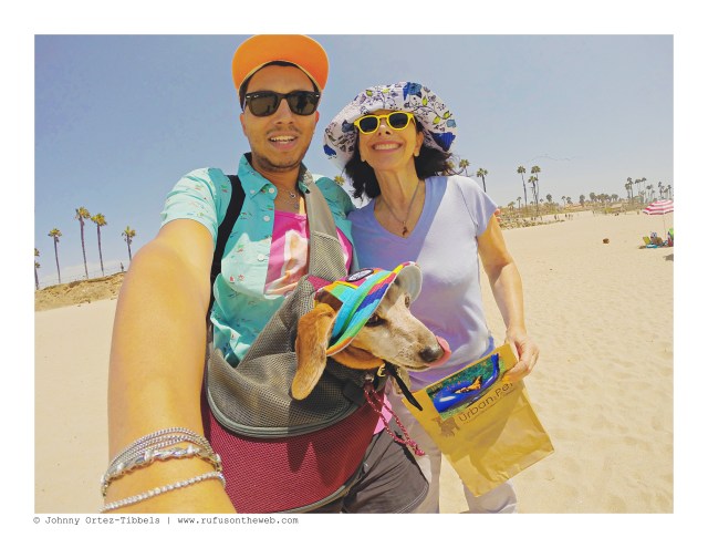 LA Doxies' Meetup | August 2016.  Photo by: Johnny Ortez-Tibbels ©