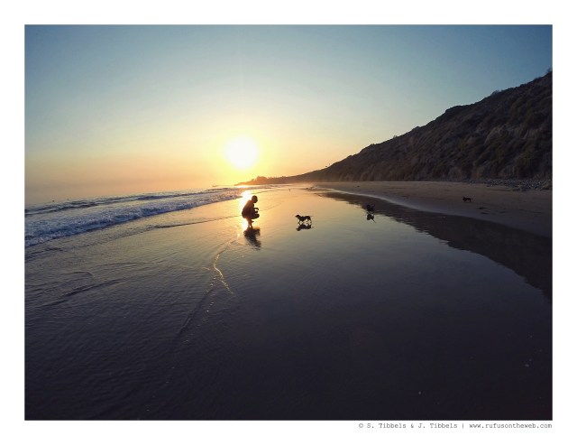 Emily, Lily, Rufus & their human | August 2016. Photo by: Johnny Ortez-Tibbels ©