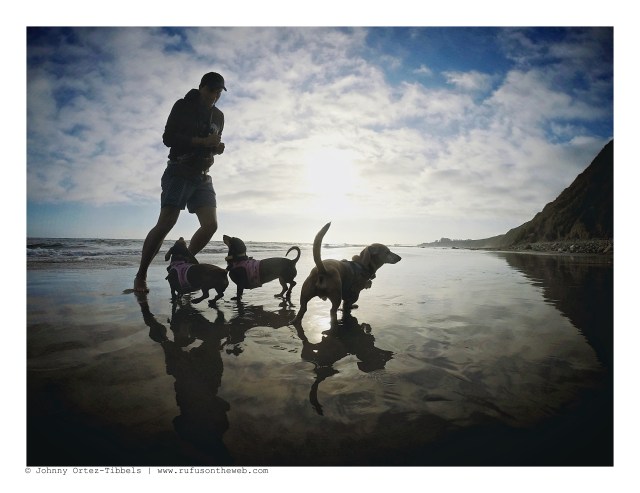 Beach Bums | September 2016. Photo by: Johnny Ortez-Tibbels ©