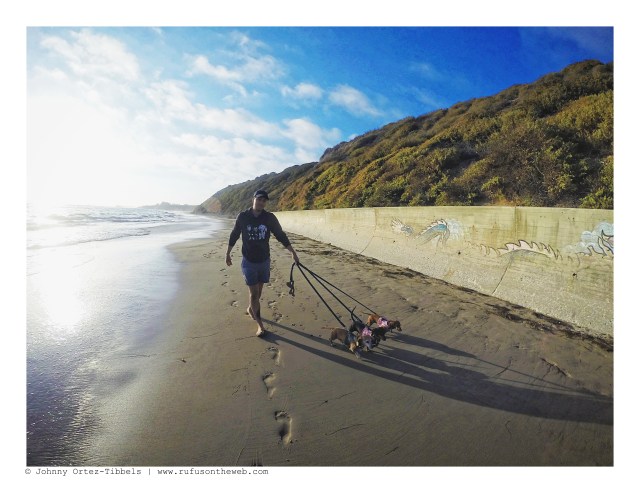Beach Bums | September 2016. Photo by: Johnny Ortez-Tibbels ©