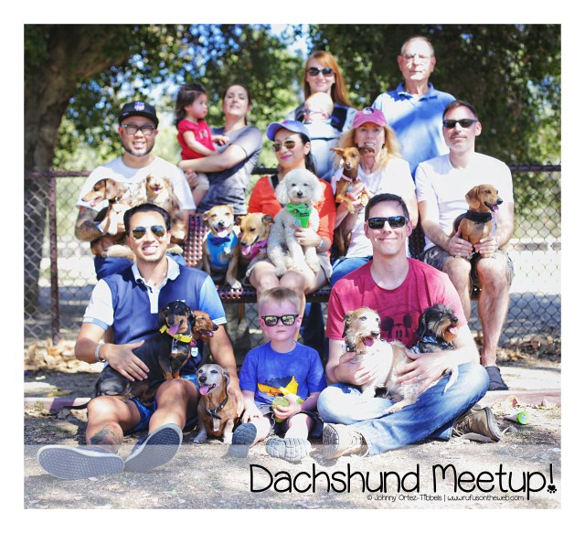 Dachshund Meetup Sunday Funday | September 2016. Photo by: Johnny Ortez-Tibbels ©