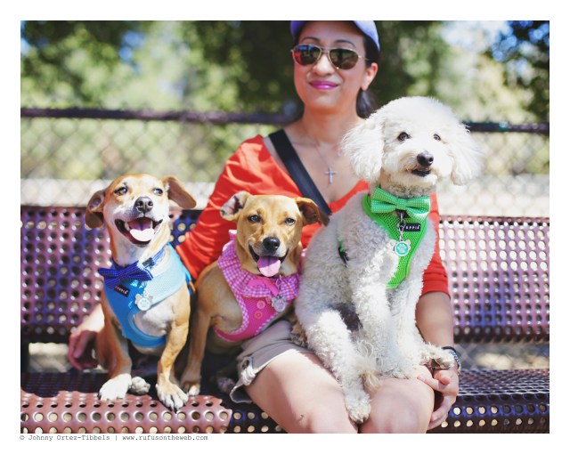 Dachshund Meetup Sunday Funday | September 2016. Photo by: Johnny Ortez-Tibbels ©