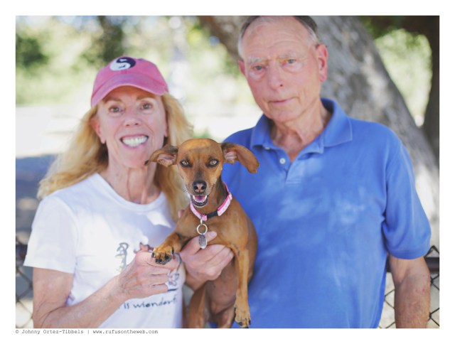 Dachshund Meetup Sunday Funday | September 2016. Photo by: Johnny Ortez-Tibbels ©