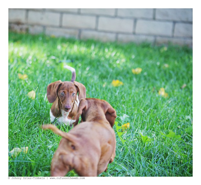 Lily & Heidi | September 2016. Photo by: Johnny Ortez-Tibbels ©