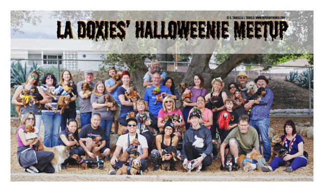 Halloweenie Meetup | October 2016. Photo by: Johnny Ortez-Tibbels & Sam Tibbels ©