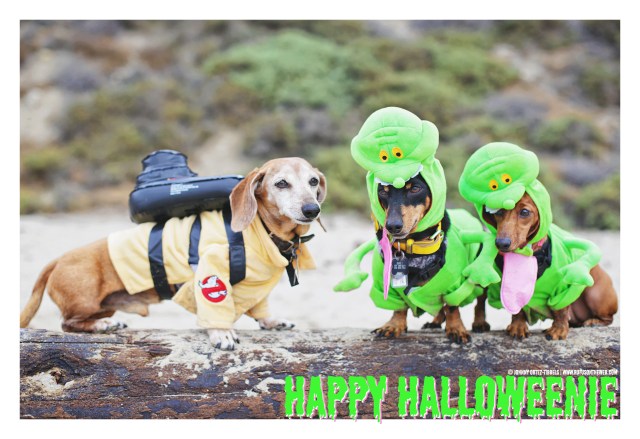 Rufus, Emily & Lily | October 2016. Photo by: Johnny Ortez-Tibbels ©