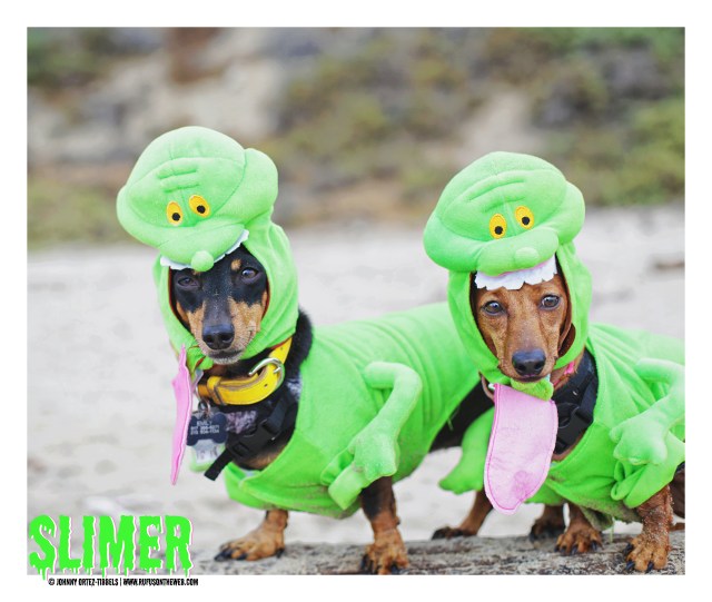 Emily & Lily | October 2016. Photo by: Johnny Ortez-Tibbels ©