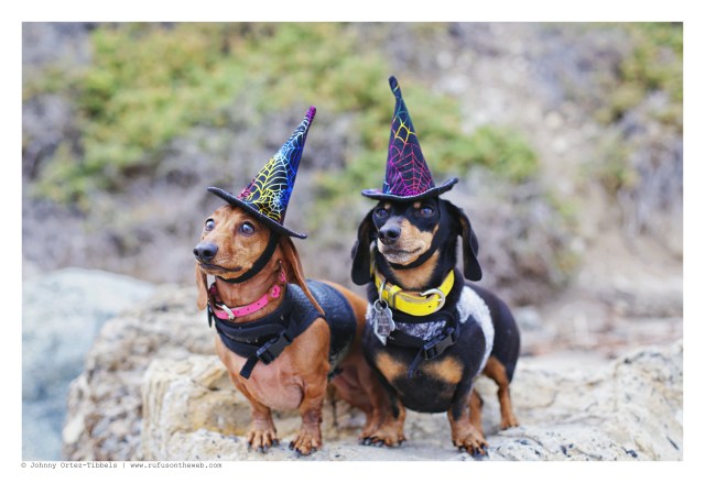 Emily & Lily | October 2016.  Photo by: Johnny Ortez-Tibbels ©