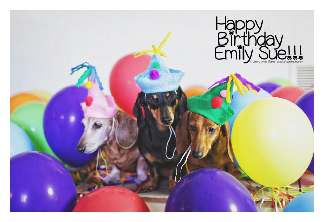 Rufus, Emily & Lily | October 2016.  Photo by: Johnny Ortez-Tibbels ©