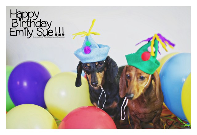 Emily & Lily | October 2016.  Photo by: Johnny Ortez-Tibbels ©