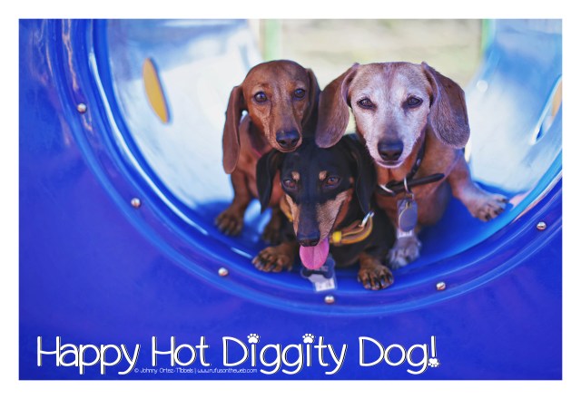 Rufus, Emily & Lily | November 2016. Photo by: Johnny Ortez-Tibbels ©