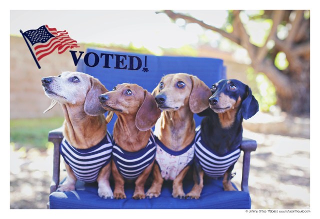 Rufus, Lily, Milo & Emily | November 2016. Photo by: Johnny Ortez-Tibbels ©