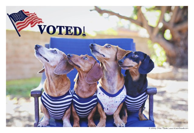 Rufus, Lily, Milo & Emily | November 2016. Photo by: Johnny Ortez-Tibbels ©