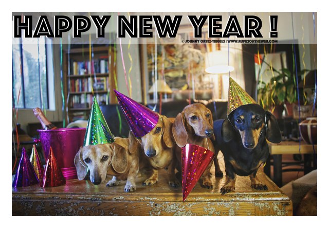 Rufus, Milo, Lily &amp; Emily | October 2016.  Photo by: Johnny Ortez-Tibbels ©