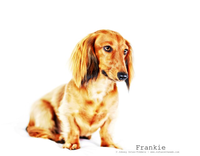 Frankie