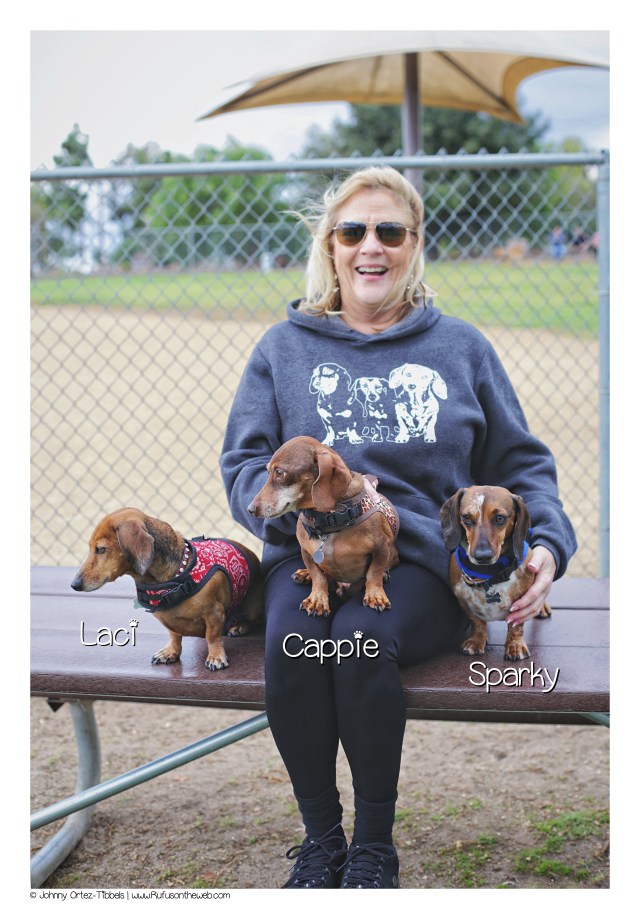 Cappie's pack November 2016.