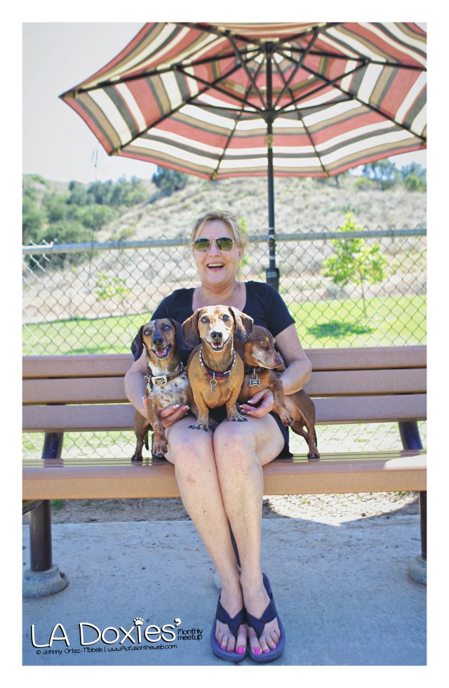Dachshund Mom