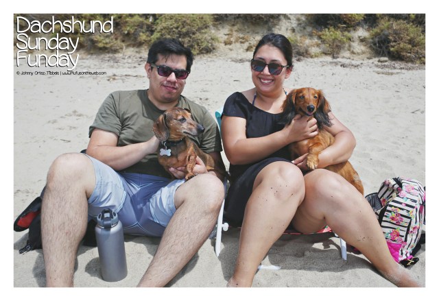 Dachshund Sunday Funday Beach Meetup August 2017 © Johnny Ortez-Tibbels | www.Rufusontheweb.com