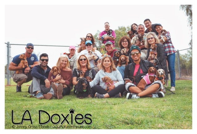 © Johnny Ortez-Tibbels | www.Rufusontheweb.com