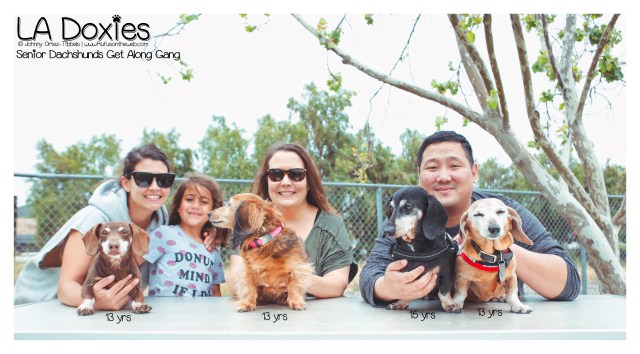 © Johnny Ortez-Tibbels | www.Rufusontheweb.com