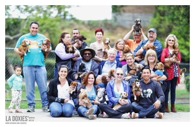 LA Doxies' Monthly Meetup