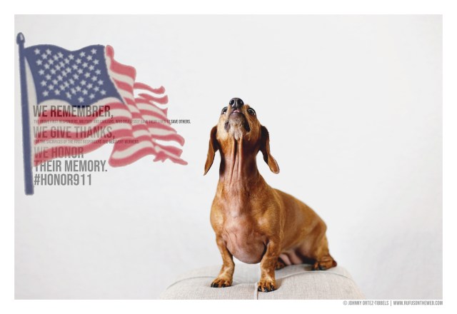 © Johnny Ortez-Tibbels | www.Rufusontheweb.com