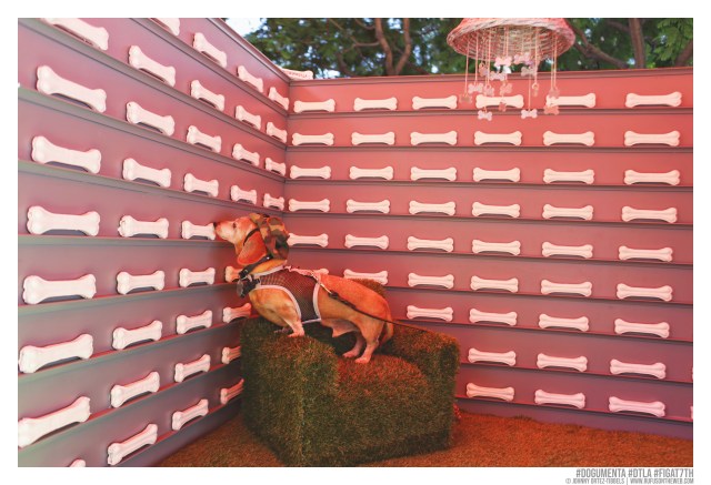 © Johnny Ortez-Tibbels | www.Rufusontheweb.com