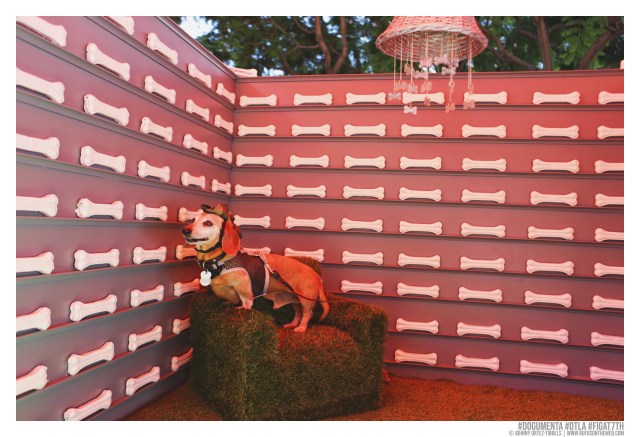 © Johnny Ortez-Tibbels | www.Rufusontheweb.com